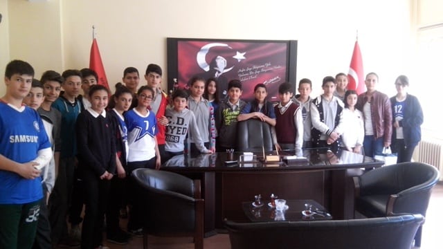 anadolu kaplanları